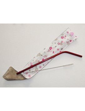 1 washable and reusable stainless steel case with straw and brush - SPRING