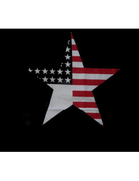 Funda de almohada American Star