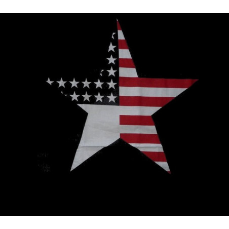 Funda de almohada American Star